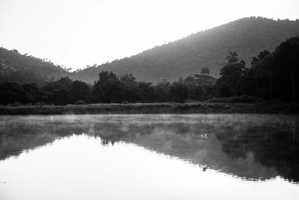 James Doeland, Landscape 8
